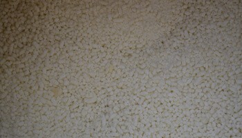 Technical acid Casein 